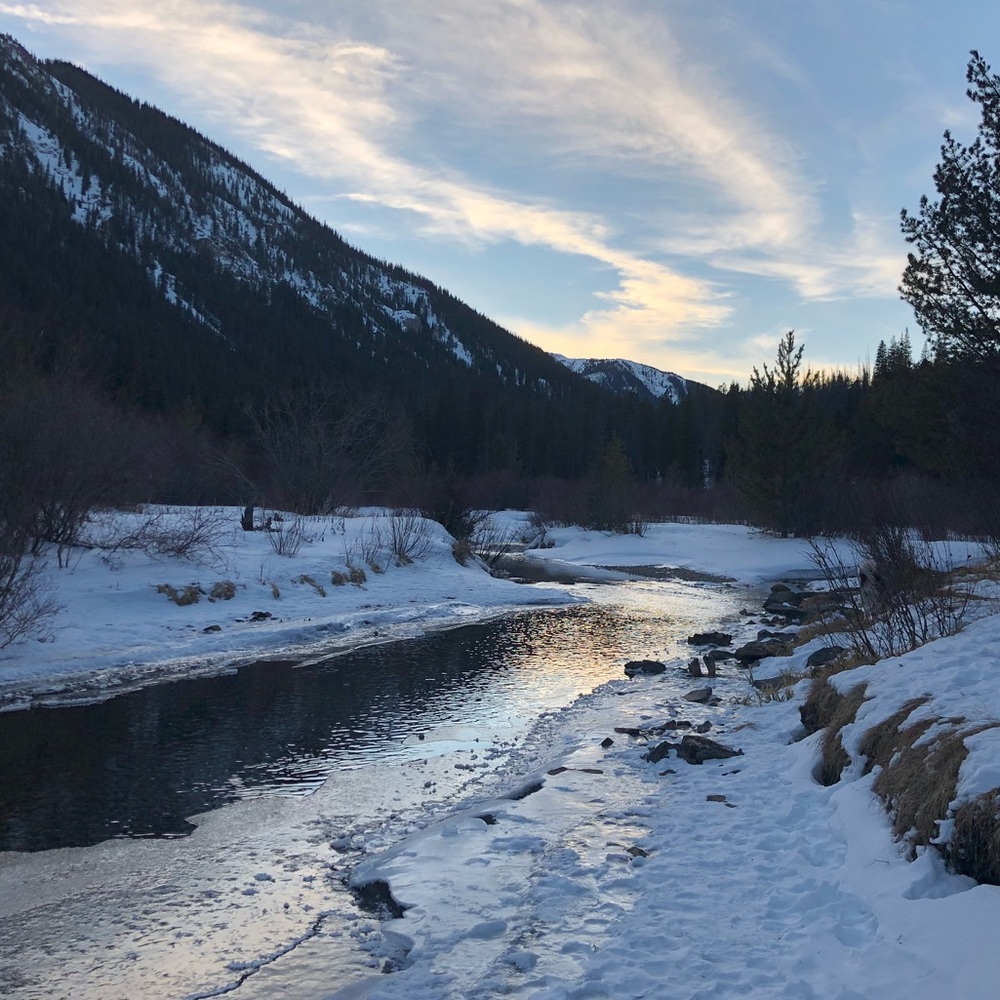 Meet your Posher, Caroline